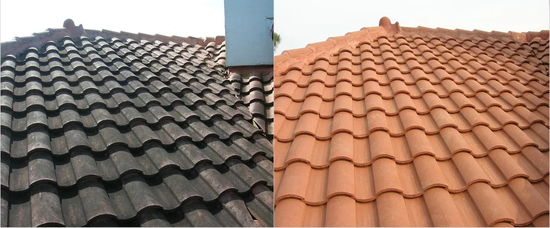 Split view of one barrel tile roof: dark algae-covered tiles on the left and clean terracotta tiles on the right
