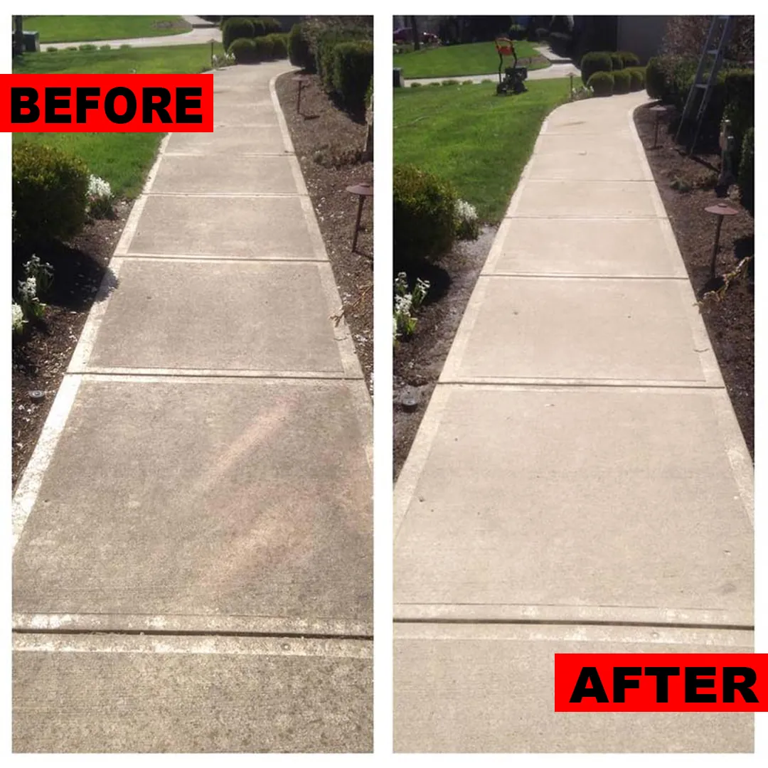 Before and after: dirty, algae-stained concrete walkway cleaned to a bright, uniform finish
